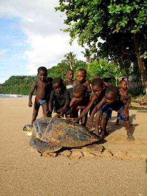 Tartarugas em São Tomé e Príncipe